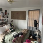 605607ECHESTNUT (1) (15)