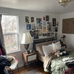 605607ECHESTNUT (1) (16)