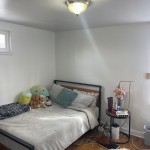 605607ECHESTNUT (1) (2)