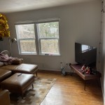 605607ECHESTNUT (1) (20)