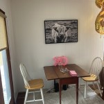 605607ECHESTNUT (1) (24)