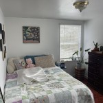 605607ECHESTNUT (1) (5)